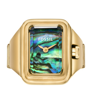 Fossil ES5411