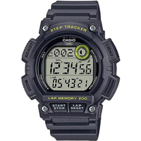 Casio WS-2100H-8AVDF